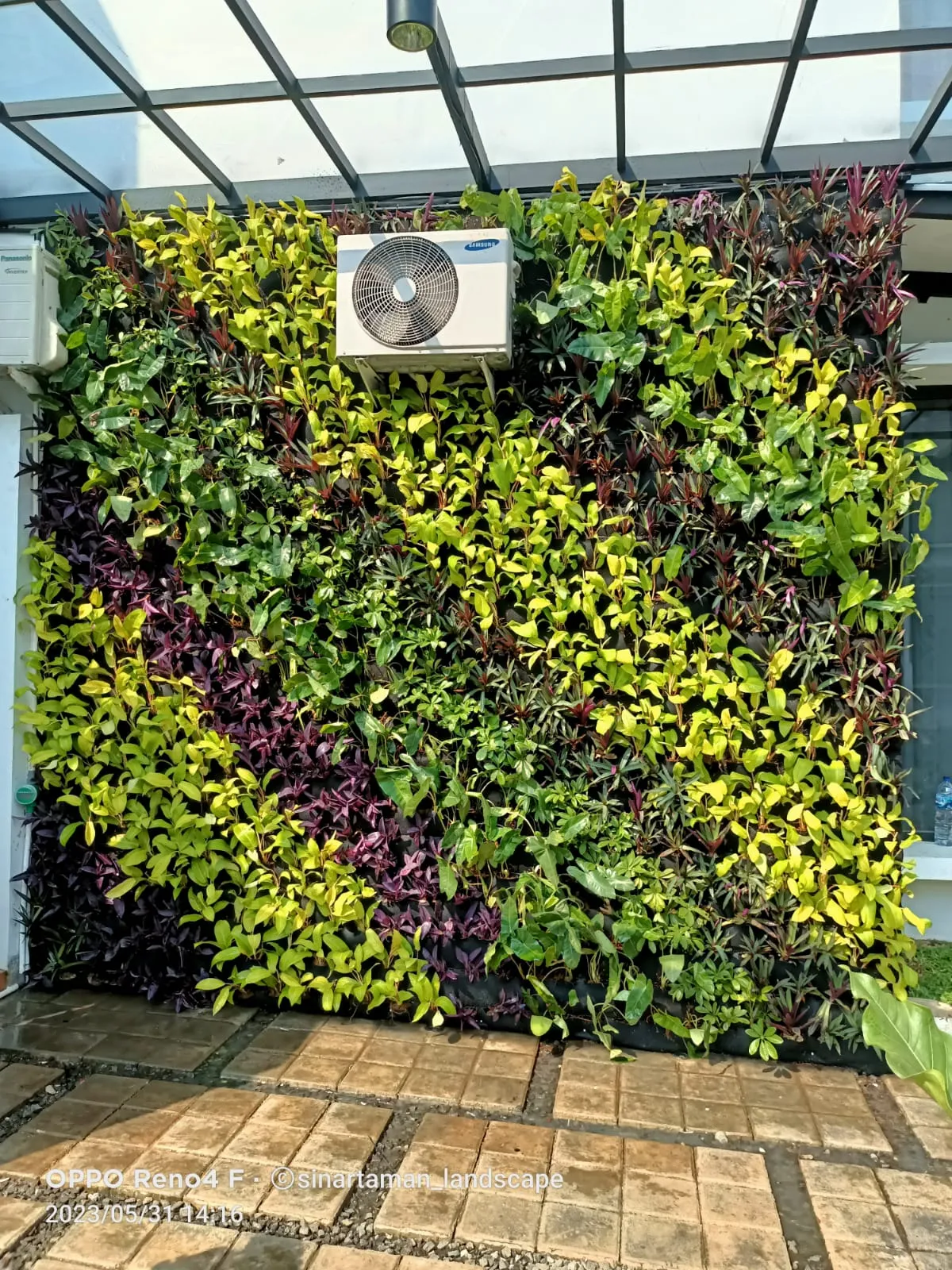 WhatsApp Image 2025-02-05 at 14.46.00 (1)