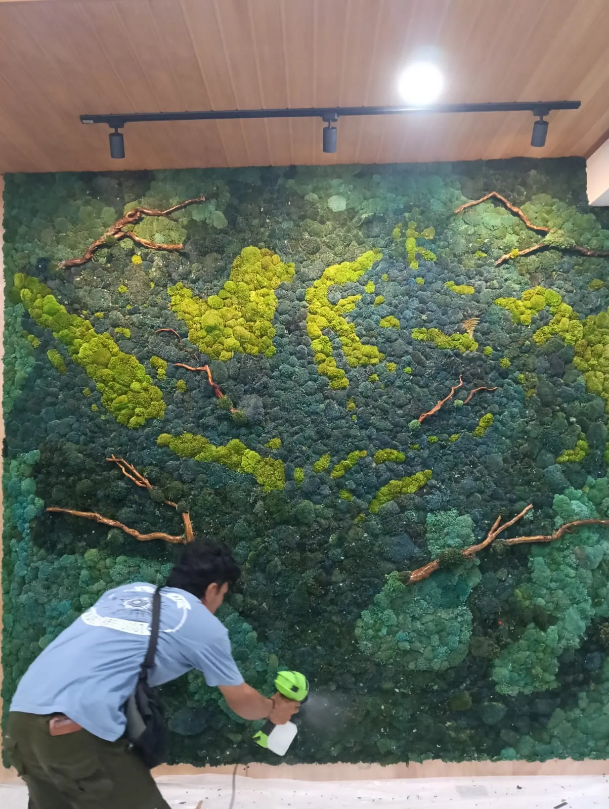 jasa moss wall preserved