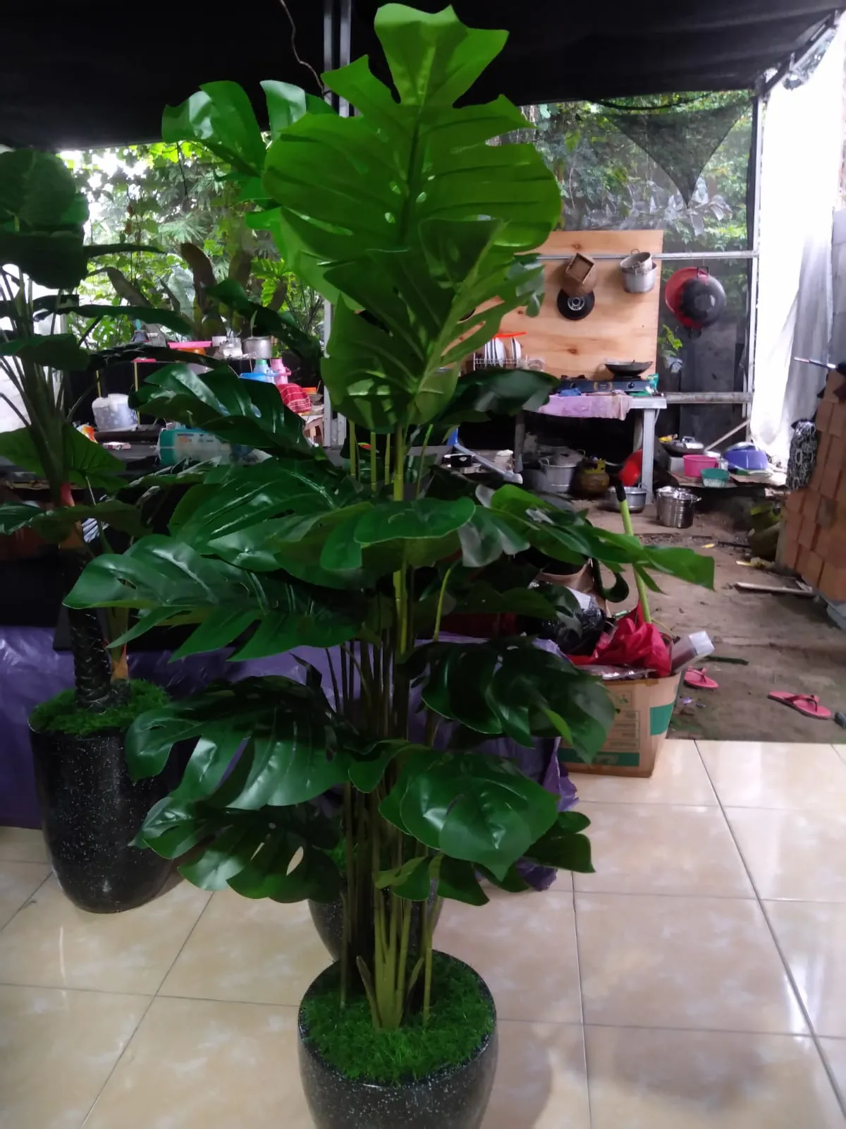 jual-tanaman-monstera-palsu-artificial-gambar_2-67a495dc8b09d