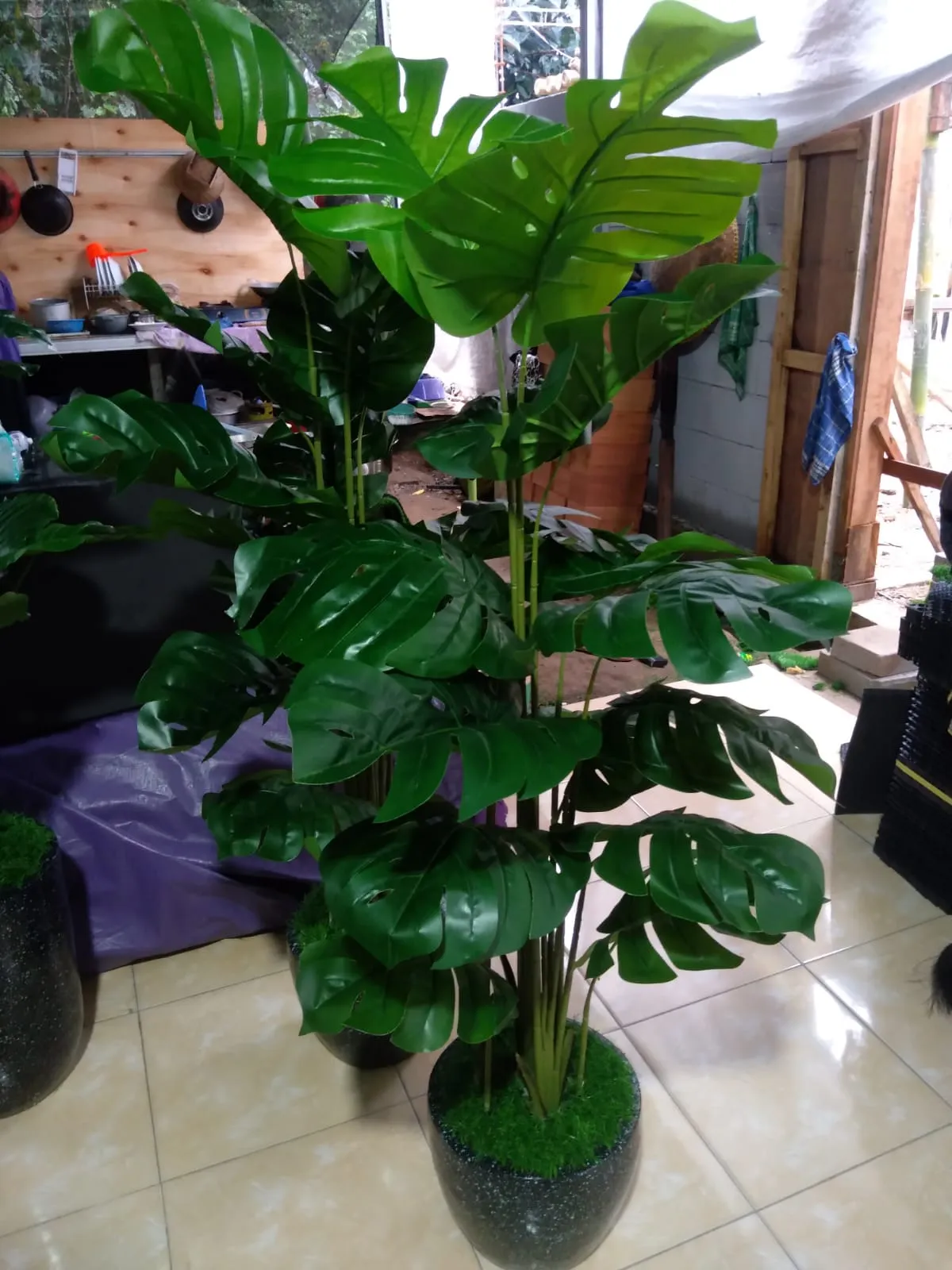 jual-tanaman-monstera-palsu-artificial-gambar_3-67a495dcb0072